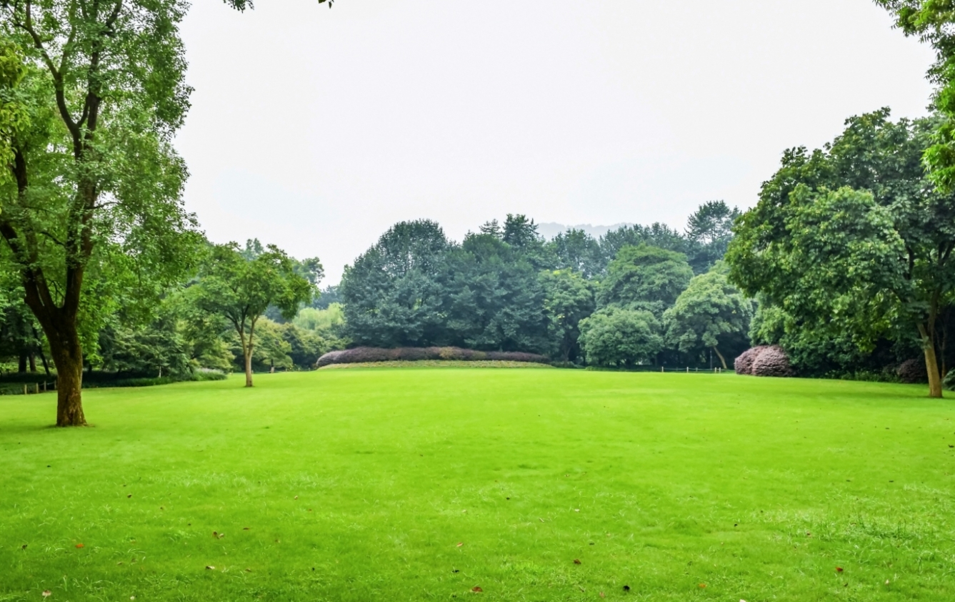 Nowy Sącz: Pierwszy Park Kieszonkowy powstał na dziedzińcu Pałacu Młodzieży